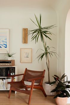 a living room filled with furniture and a tall potted plant next to a bookshelf