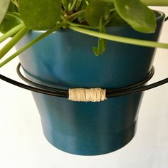 a plant in a blue pot on a white wall with a black cord attached to it