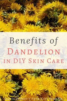 the benefits of dandelion in diyskin care