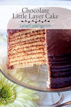 a chocolate layer cake sitting on top of a glass plate