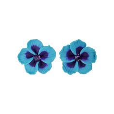 two blue flowers with purple centers on white background