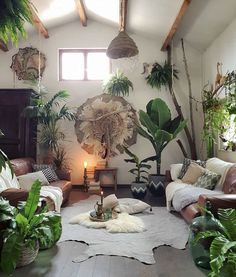 a living room filled with lots of plants and furniture