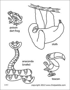 an animal coloring page with pictures of different animals and their names in english or spanish