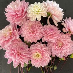 pink and white flowers are in a vase