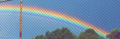 a rainbow is seen through a chain link fence in the background, with trees and blue sky