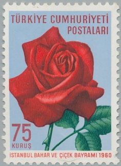 a postage stamp with a red rose on it's front and side, in russian language