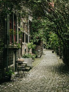 an alley way with tables and chairs on the side, surrounded by trees and flowers