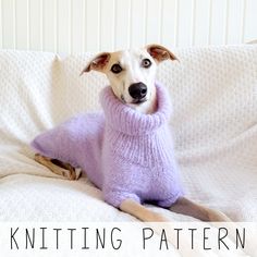 a dog wearing a purple sweater sitting on a couch with the words knitting pattern written below it