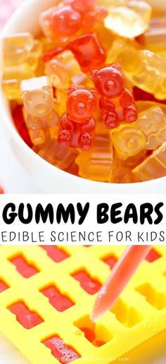 gummy bears edible science for kids