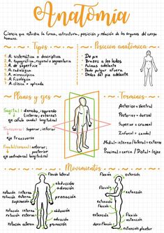 the anatomy of an anatomia in spanish and english, with instructions on how to use