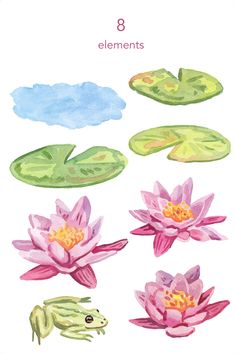 water lilies and lily pads with the words 8 elements on them in white background