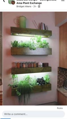 two wooden shelves filled with plants and herbs