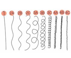 Curl Pattern Chart, Curl Type Chart, Hair Texture Chart, Afro Hair Types, Hair Type Chart, Hair Chart, Black Hair Types, Different Types Of Curls, Different Curls