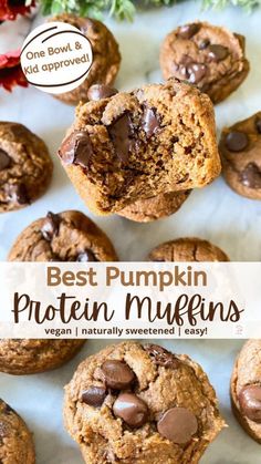 the best pumpkin protein muffins with chocolate chips on top