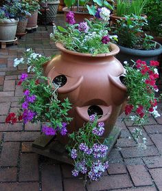 several potted plants with holes in them on the ground near other pots and planters