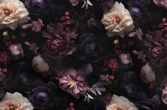 Dark Peony Fabric by the yard, featuring moody floral blacks and perfect for upholstery fabric.  It embodies modern gothic romance with its French noir aesthetic and dramatic dark purple flower fabric, complemented by dark red undertones. Coordinating Fabrics 💝 https://www.etsy.com/shop/modernragquilts?ref=seller-platform-mcnav&section_id=47791296  * Please note: The pillow photo is only included for a glimpse into the patterns scale.  It does not come with this purchase.   Important Notes:  * Black Floral Fabric, French Noir, Dark Peony, Noir Aesthetic, Peony Fabric, Dark Purple Flowers, Weather Projects, Modern Gothic, Fabric Poster