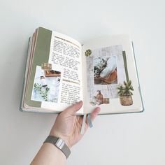 a hand holding an open book with pictures on the pages and palm trees in it