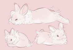 three rabbits are laying down and one is sleeping on its back, while the other lies down