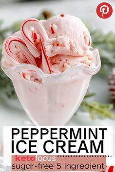 an ice cream with candy canes in it and the text peppermint ice cream