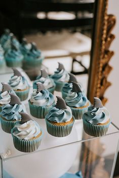 cupcakes with blue frosting and dolphins on them are sitting in a clear box