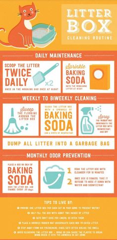 an orange and yellow poster with instructions on how to use the litter box for cleaning