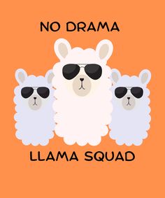 three llamas wearing sunglasses with the words no drama