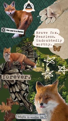 a collage of different types of animals with words above them that read brave fox fearless unqutedly