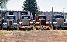 three semi trucks are parked in a row on the dirt field next to some trees