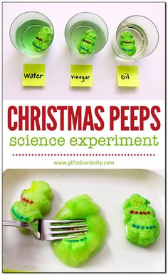 christmas pees science experiment for kids to learn how to make them look like they are eating