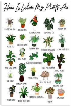 a poster with some house plants in different colors and sizes on it's side