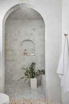 a bath room with a toilet and a plant