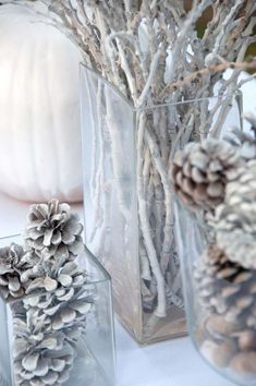 several vases filled with pine cones and branches