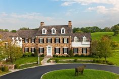 an aerial view of a house with a cow in the front yard