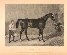 a boy is standing next to a horse