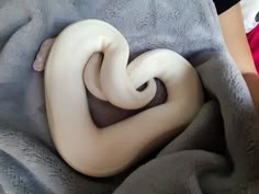 a white snake curled up in the middle of a blanket on top of a bed