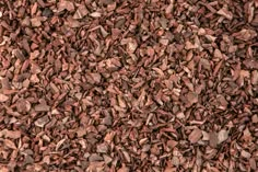 a pile of wood chips is shown in close up