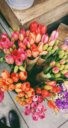 a bunch of flowers that are sitting on the ground