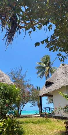 the grass is growing on the side of the house near the water and palm trees