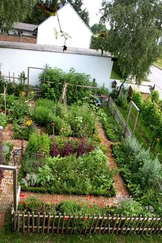 an aerial view of a garden with lots of flowers and plants in the foreground