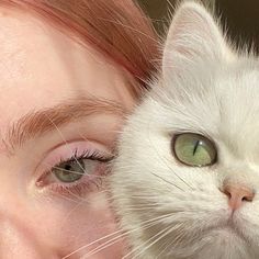 a close up of a person holding a white cat with green eyes and red hair