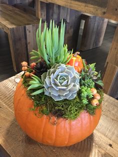 an orange pumpkin with succulents and plants in it on a wooden table