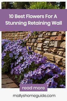 purple flowers in front of a stone wall with text overlay reading 10 best flowers for a stunning retaining wall