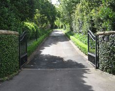 a gated driveway leading to a lush green park with trees lining the sides and bushes on either side