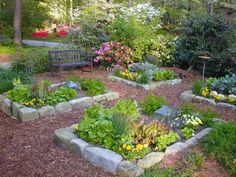 a garden filled with lots of different types of flowers and plants next to a park bench