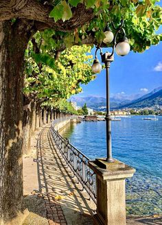 a tree lined path next to the water with street lights hanging from it's sides