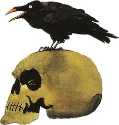 a bird sitting on top of a skull with a black crow perched on it's head