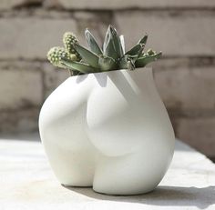 two white vases sitting on top of a table with succulents in them