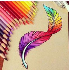 colored pencils are next to a drawing of a colorful feather on a piece of paper