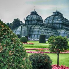 an image of a garden setting with flowers and trees