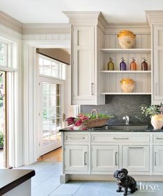 a dog sitting on the kitchen floor in front of a sink and cabinets with open shelves